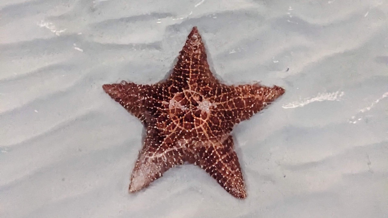 Photo of Others in Schooner Bay
