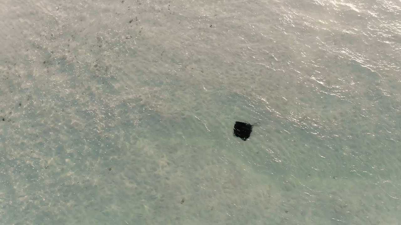 Photo of Outdoor in Schooner Bay
