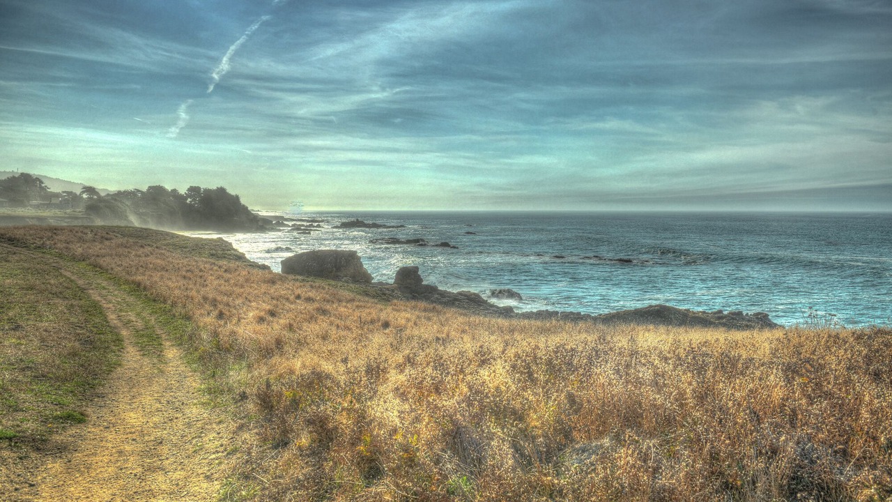 Photo of Others in Sea Ranch