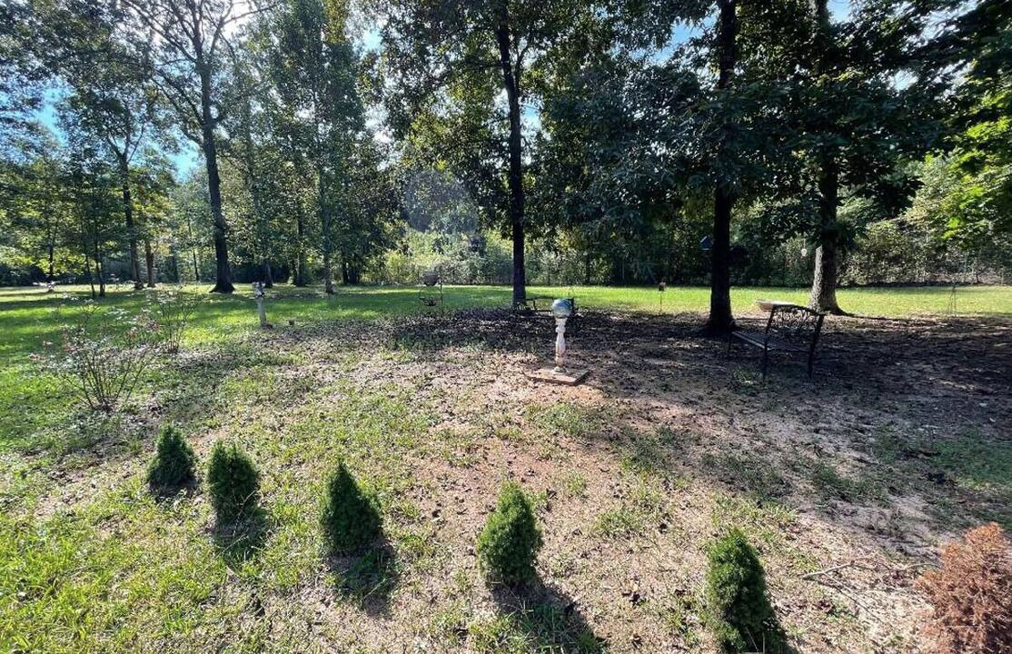 Photo of Outdoor in McCalla