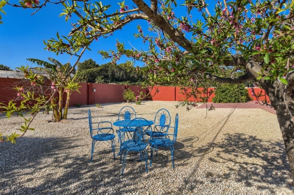 Photo of Outdoor in Callosa d' En Sarria