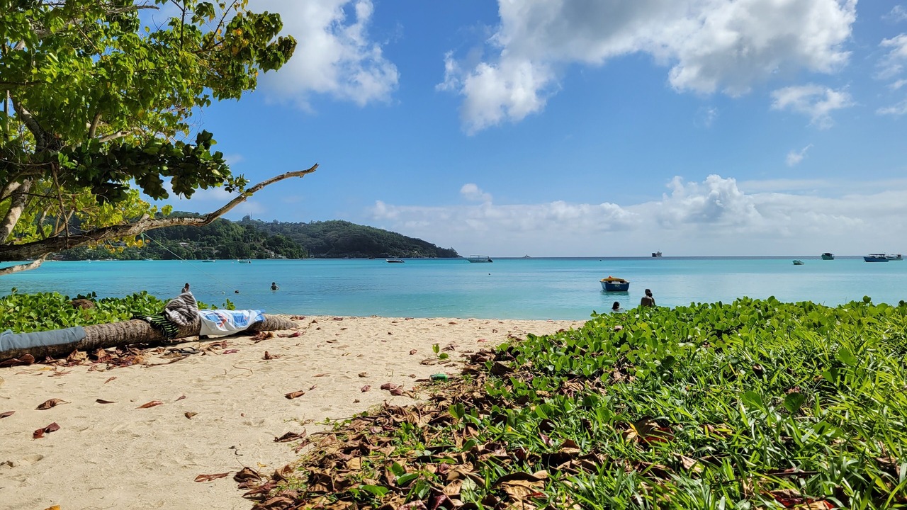 Photo of Others in Anse La Mouche