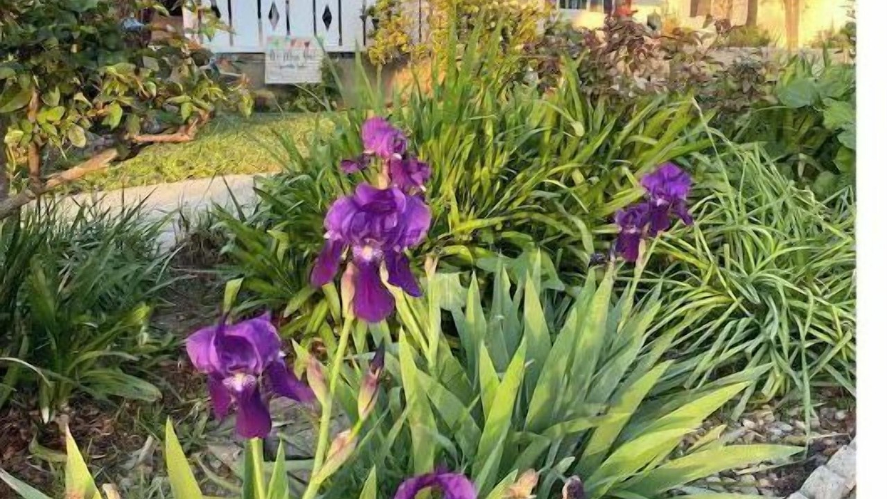 Photo of Outdoor in Bonita