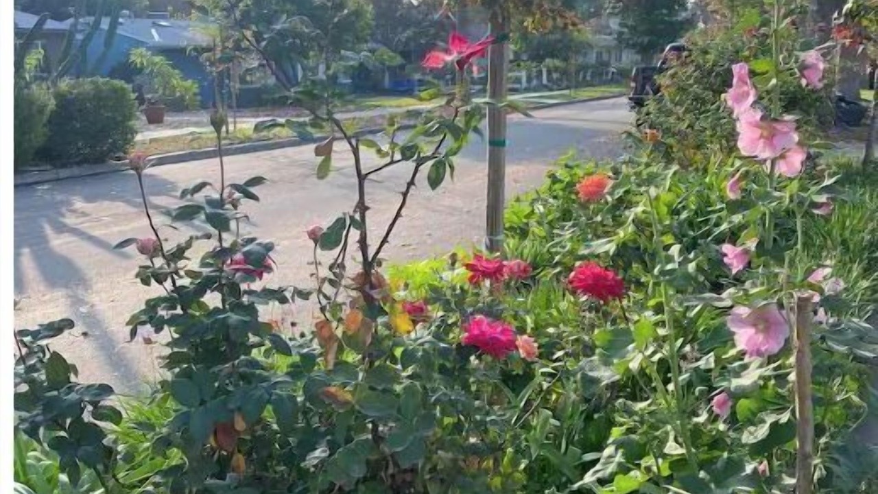 Photo of Outdoor in Bonita