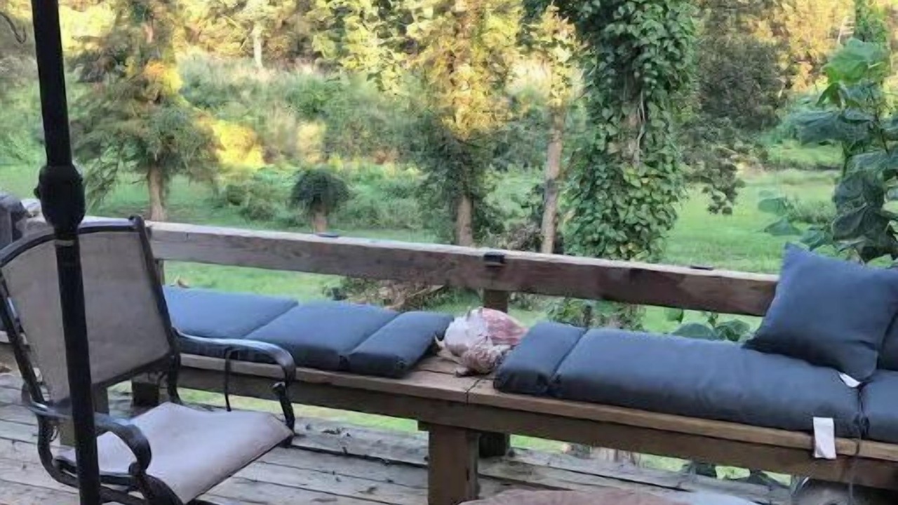 Photo of Patio Balcony in Clarksdale