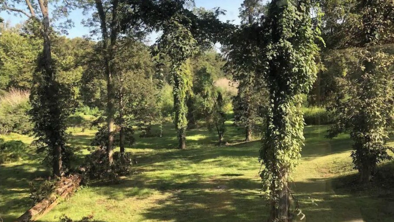Photo of Outdoor in Clarksdale