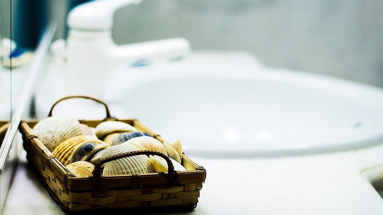 Photo of Bathroom in Barra