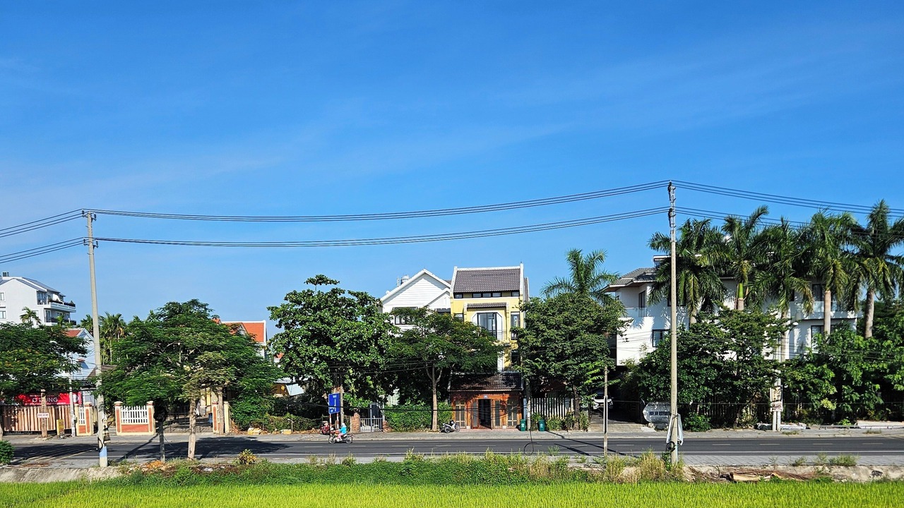 Photo of Others in Thanh Ha