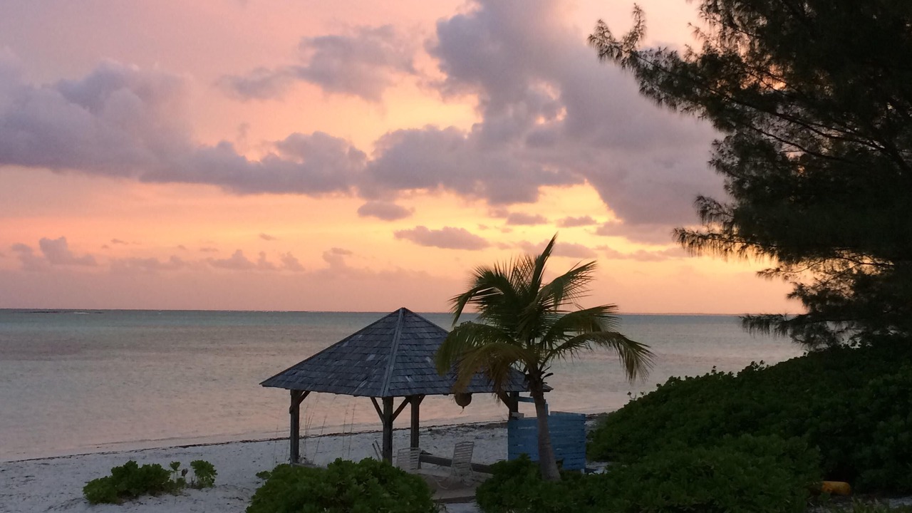 Photo of Others in Bahama Palm Shores