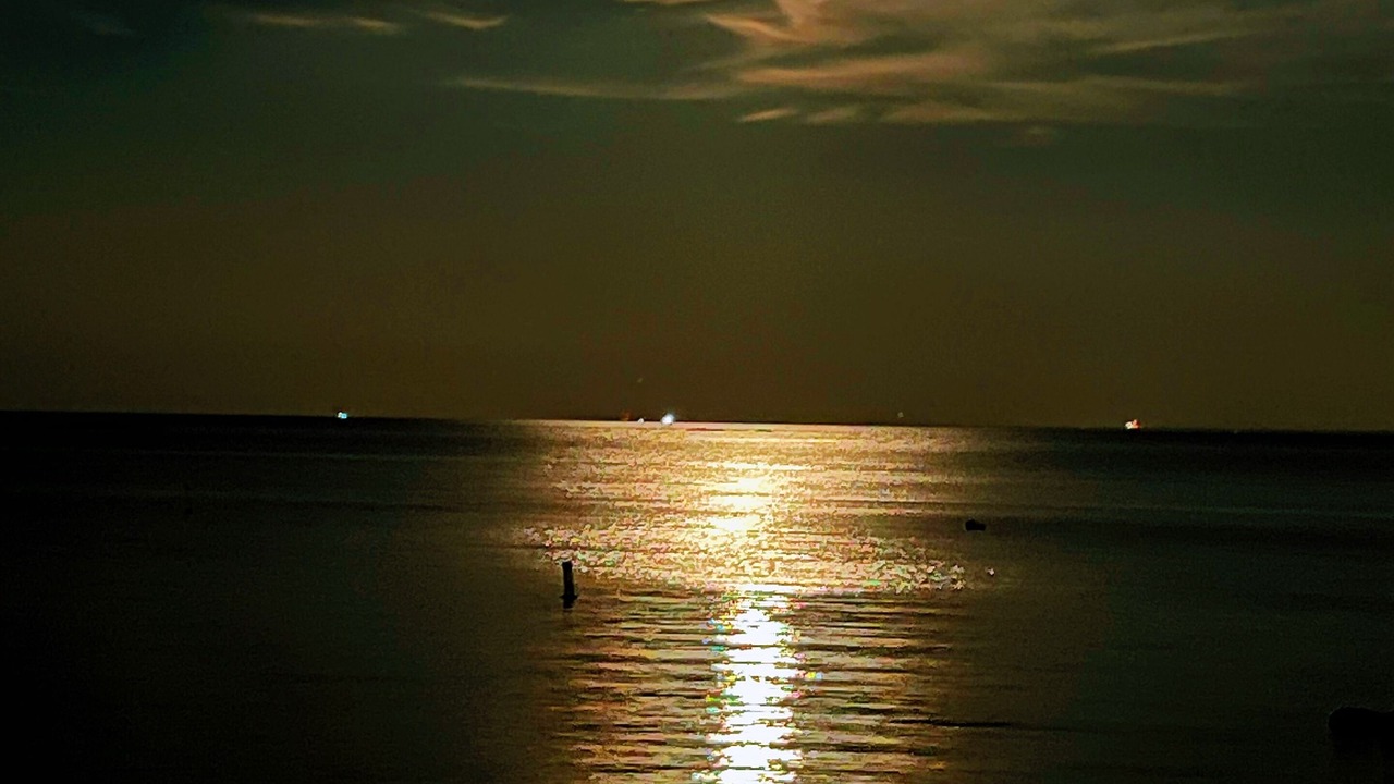 Photo of Others in Cove - East Side - Shippan