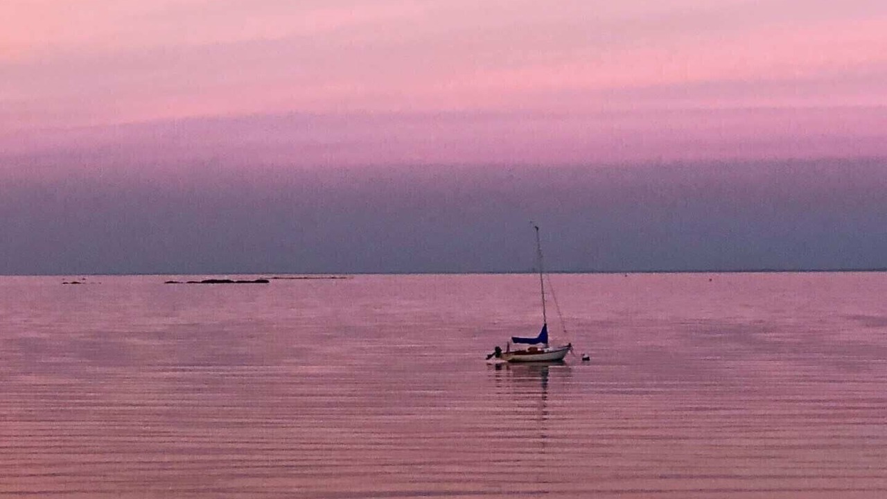 Photo of Others in Cove - East Side - Shippan