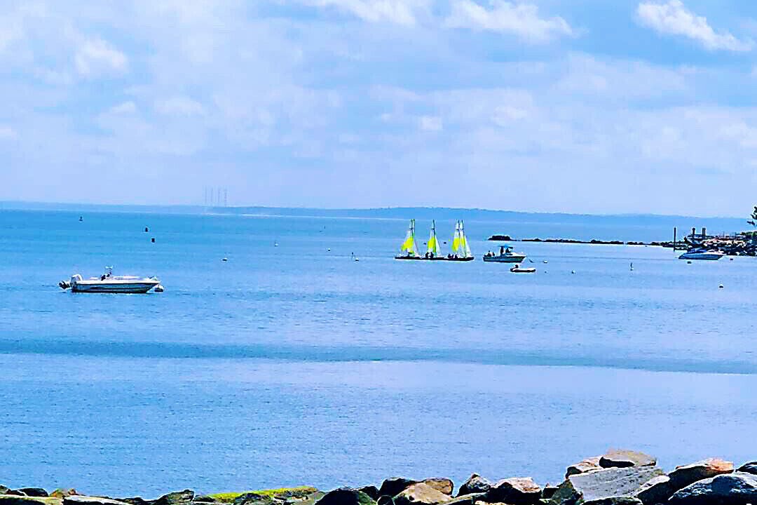 Photo of Others in Cove - East Side - Shippan