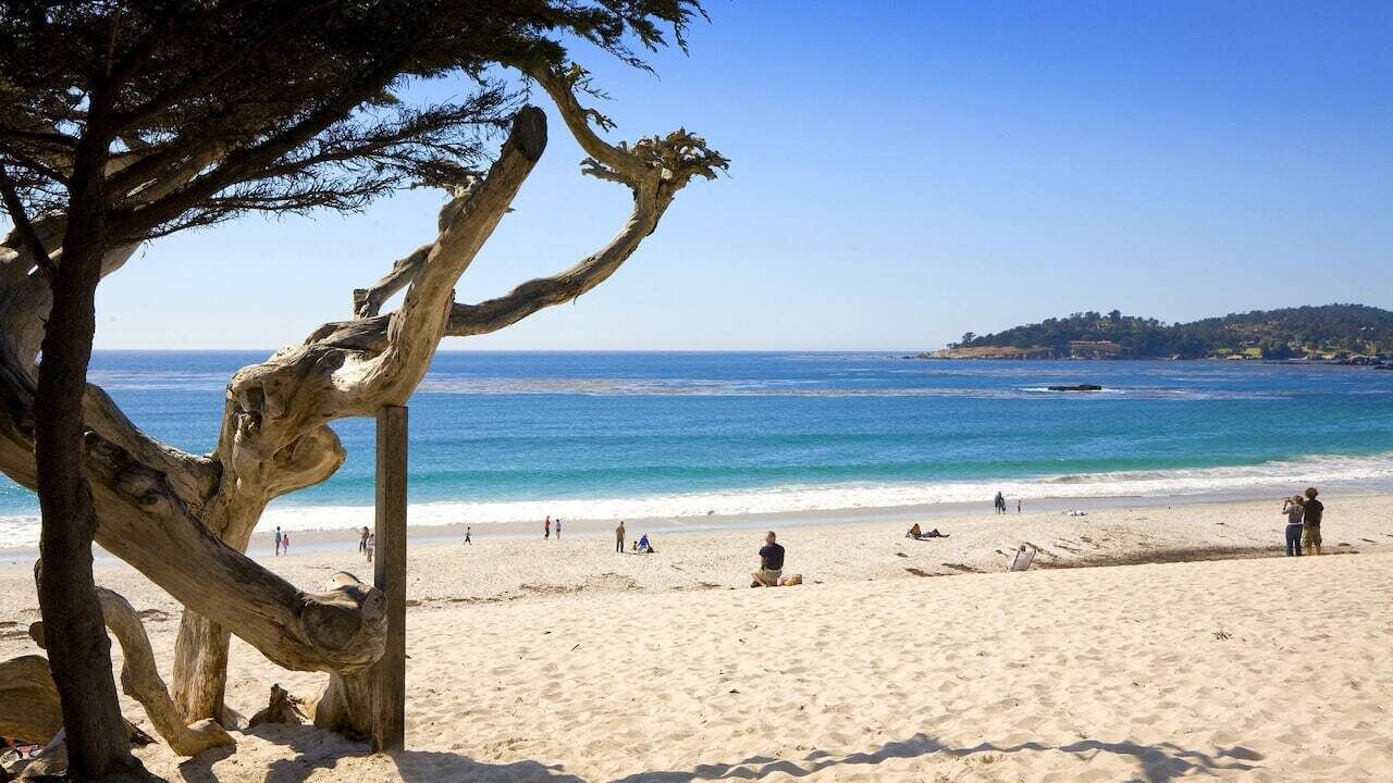Photo of Others in Carmel Highlands