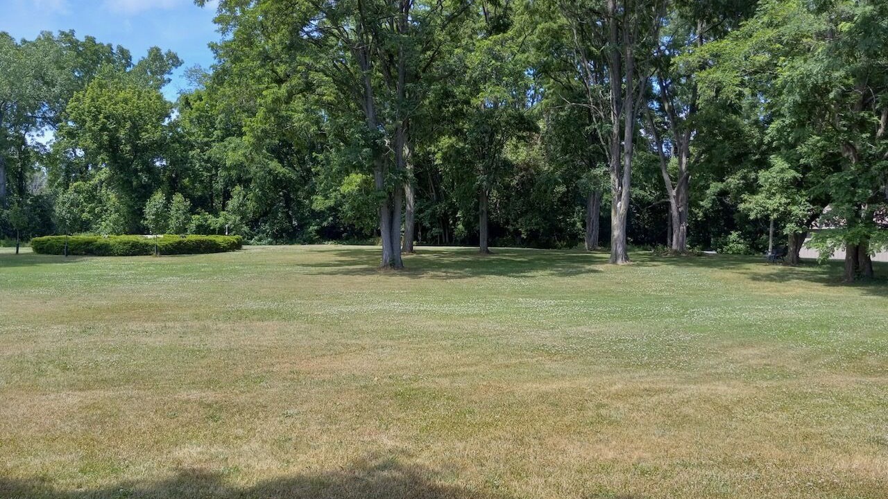 Photo of Outdoor in Dundee