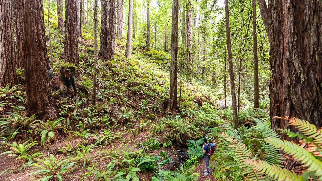 Photo of Outdoor in Little River