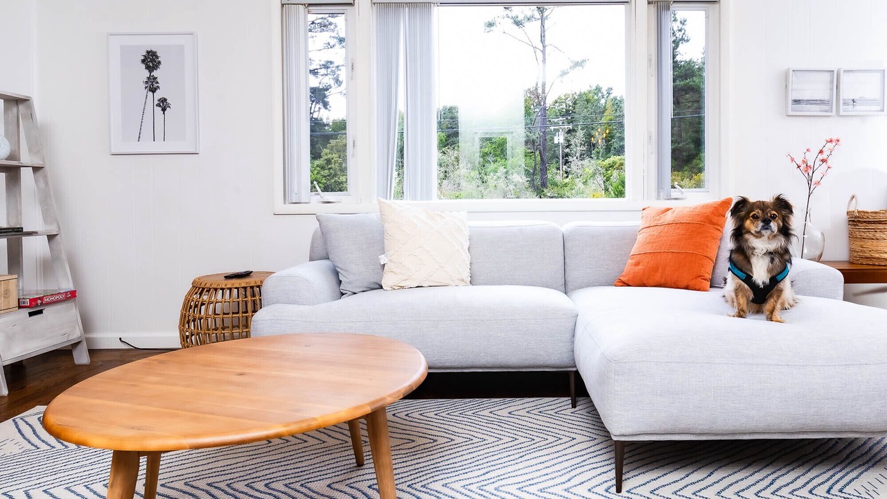 Photo of Livingroom in Little River
