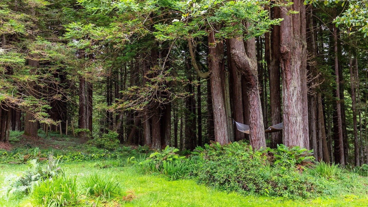 Photo of Outdoor in Little River
