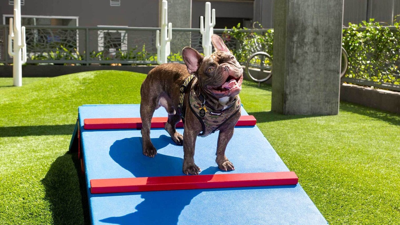 Photo of Outdoor in Hollywood