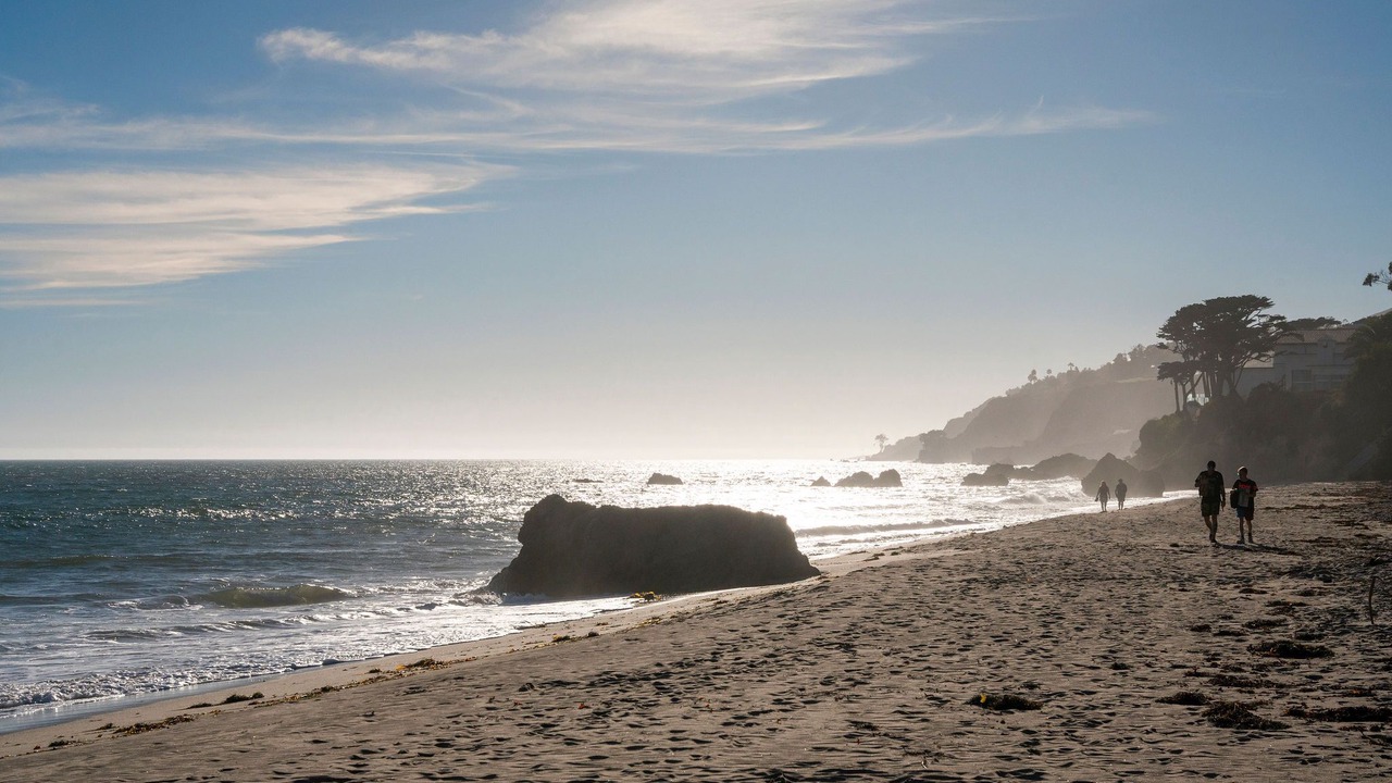 Photo of Others in Western Malibu