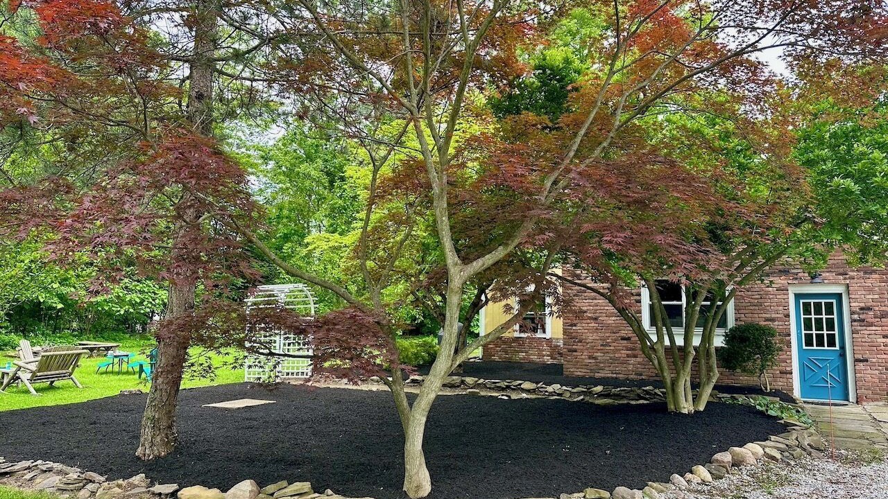 Photo of Outdoor in Madison