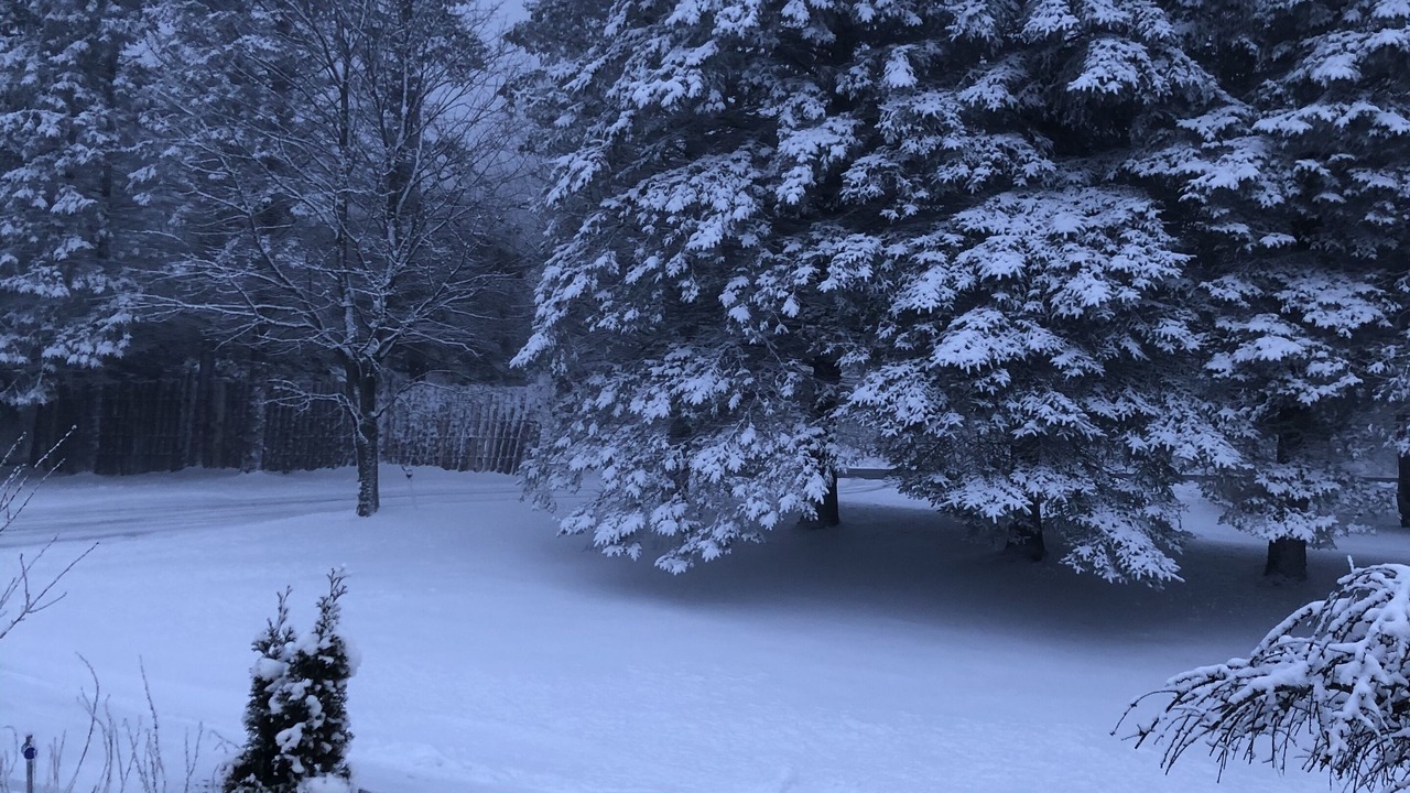 Photo of Outdoor in Pompey