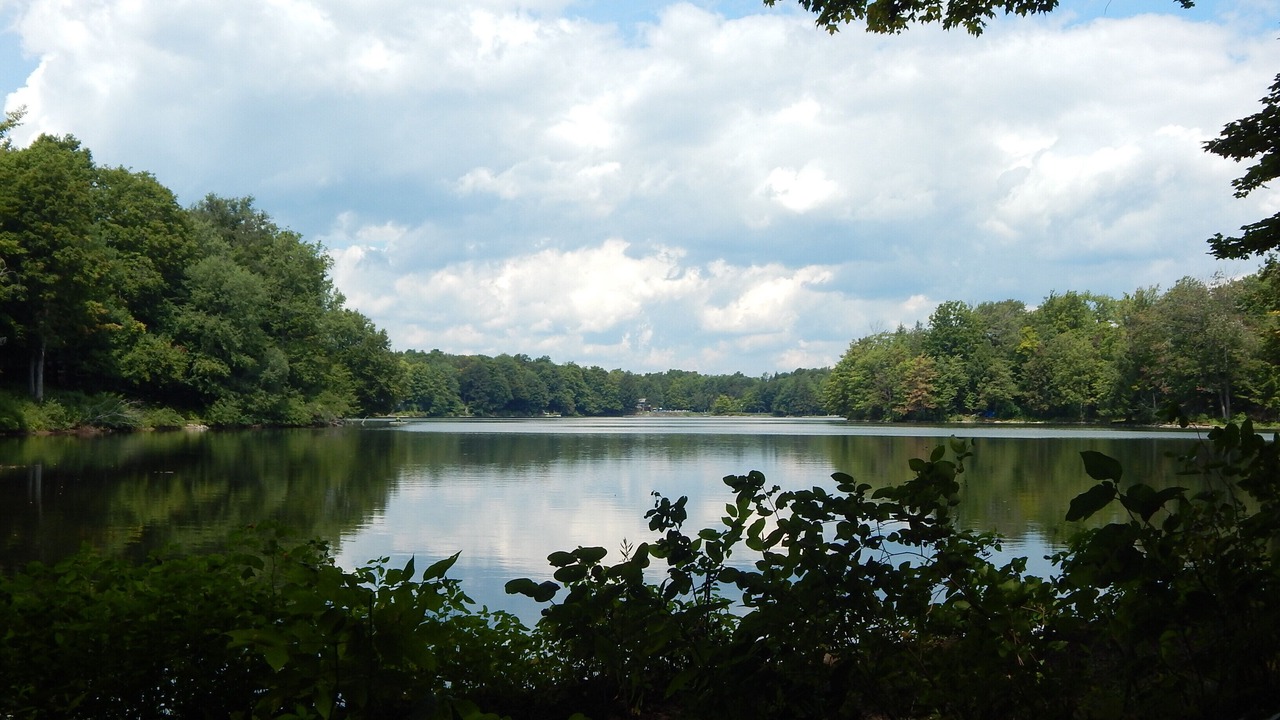 Photo of Outdoor in Bliss