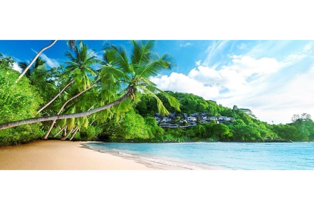 Photo of Others in Anse Boileau