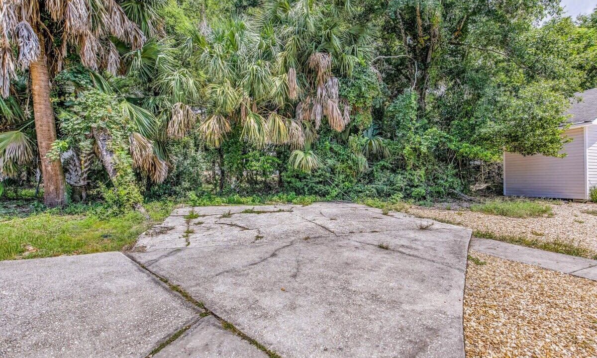 Photo of Outdoor in South Pensacola