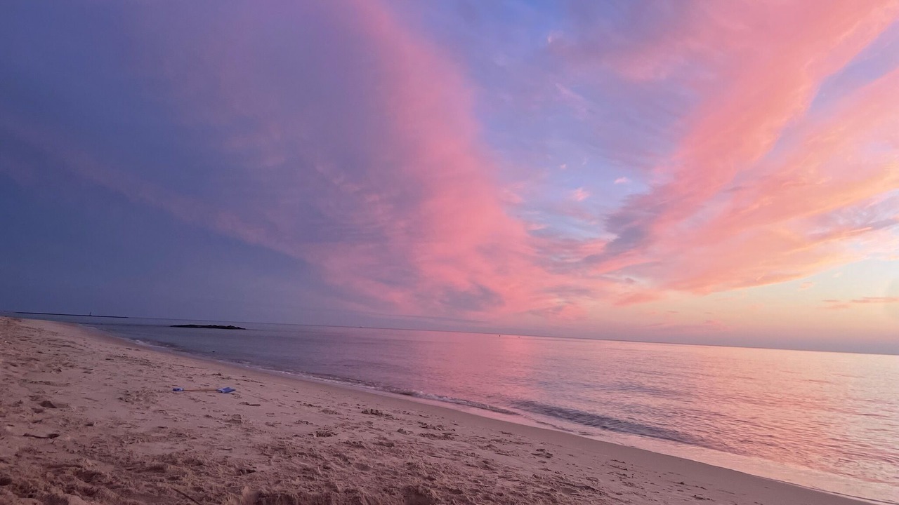 Photo of Others in North Cape May