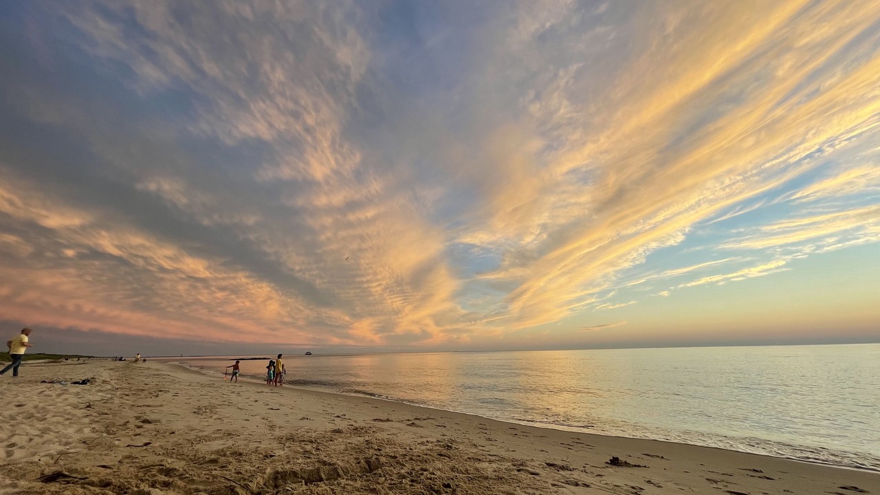 Photo of Others in North Cape May