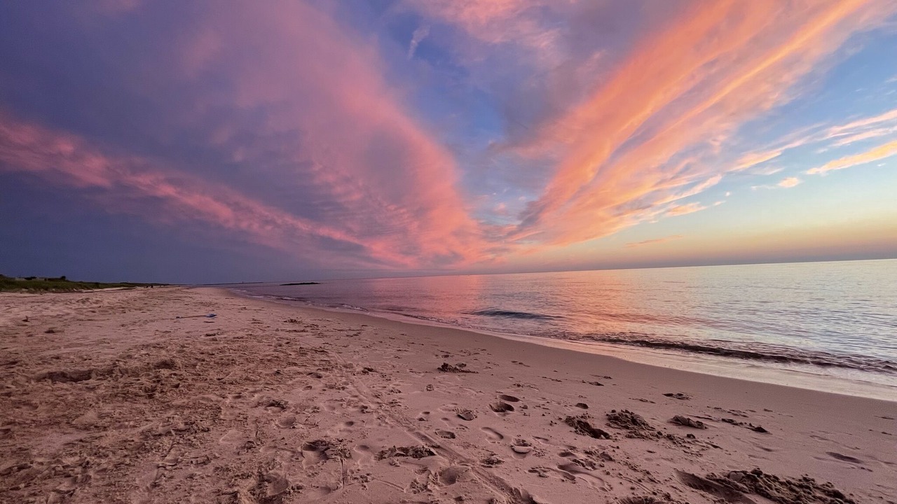 Photo of Others in North Cape May