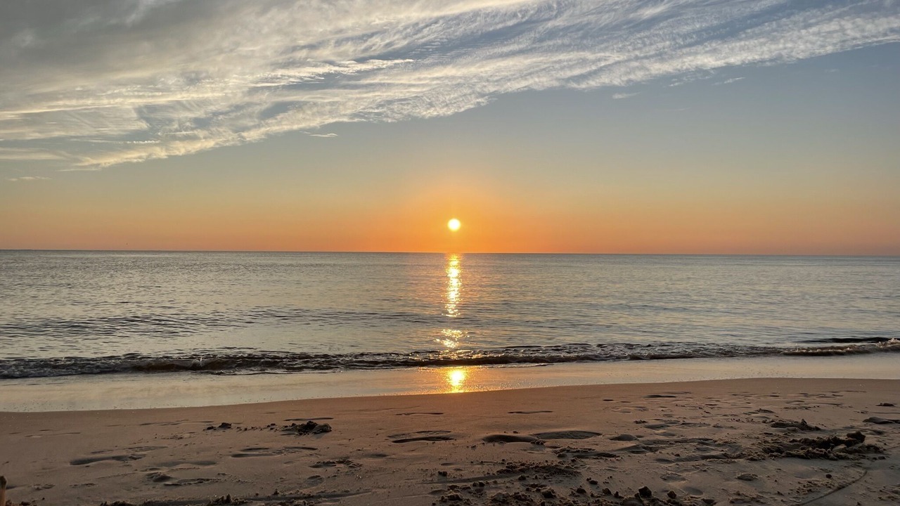 Photo of Others in North Cape May