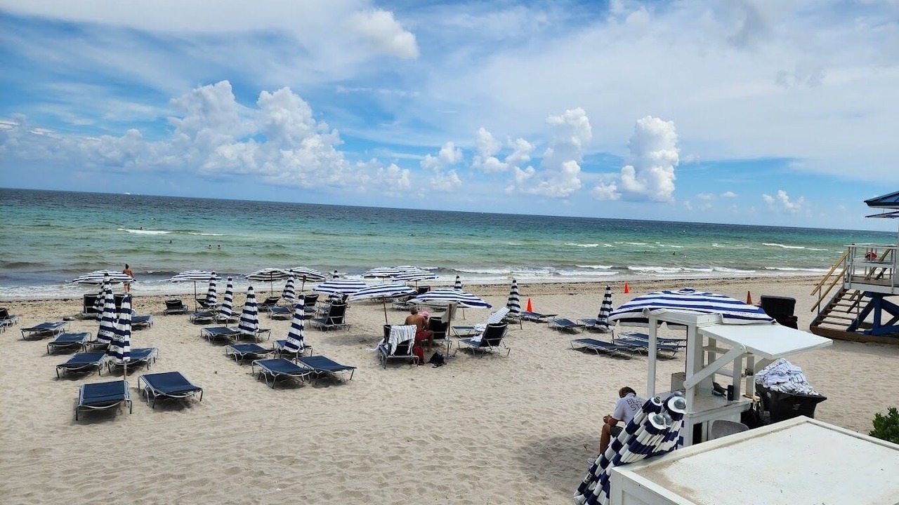 Photo of Others in Hallandale Beach
