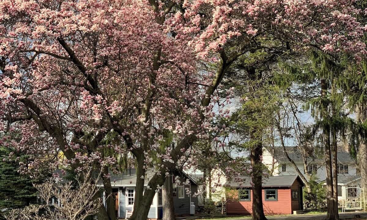 Photo of Outdoor in Firthcliffe