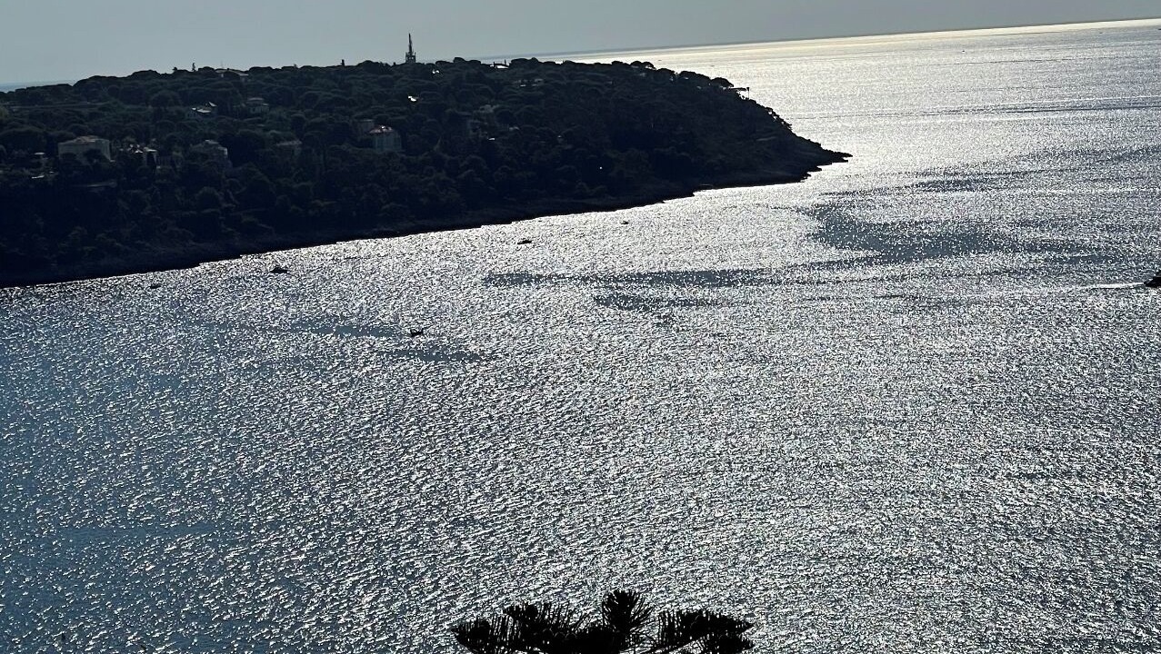 Photo of Others in La Condamine