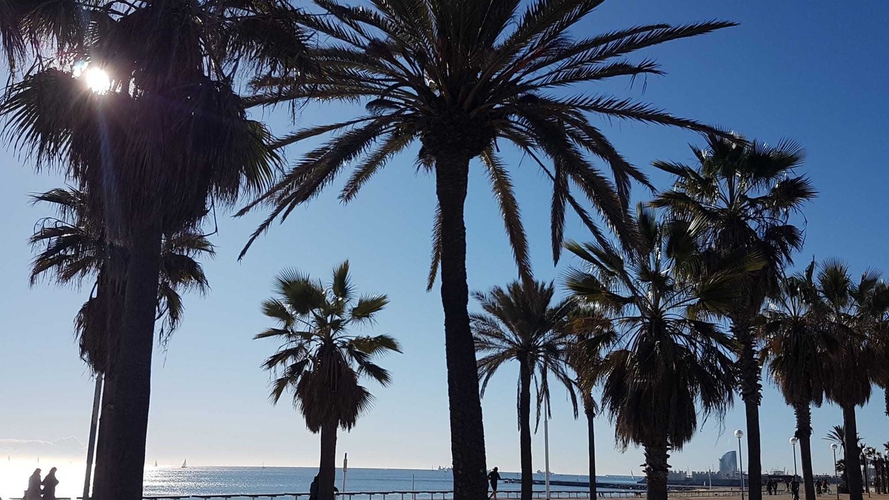 Photo of Others in Poblenou