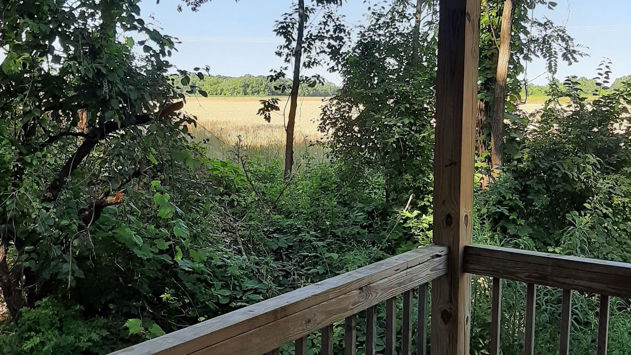 Photo of Outdoor in Town of Benton