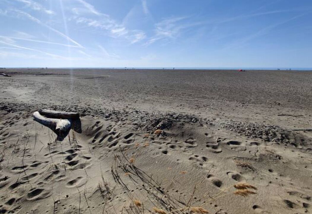 Photo of Others in Mentor Headlands