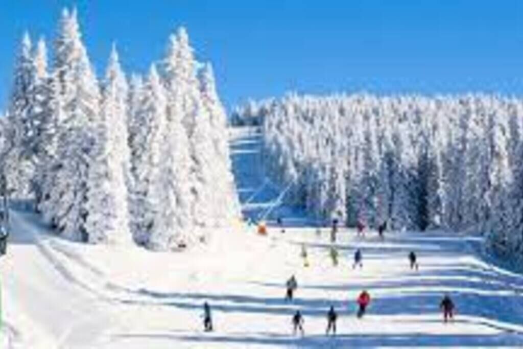 Photo of Others in Vernon