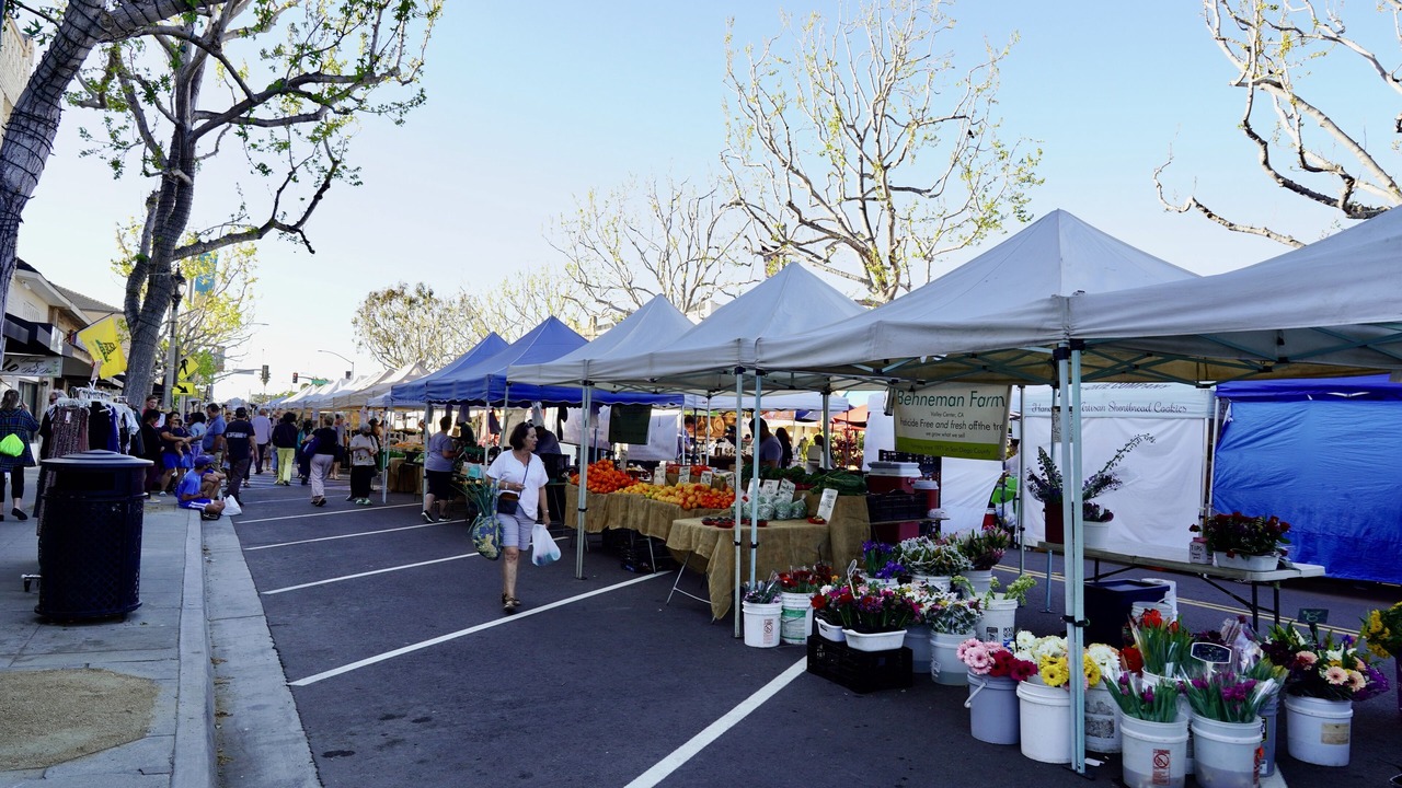 Photo of Outdoor in Olde Carlsbad