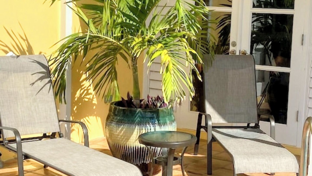 Photo of Outdoor in Slob