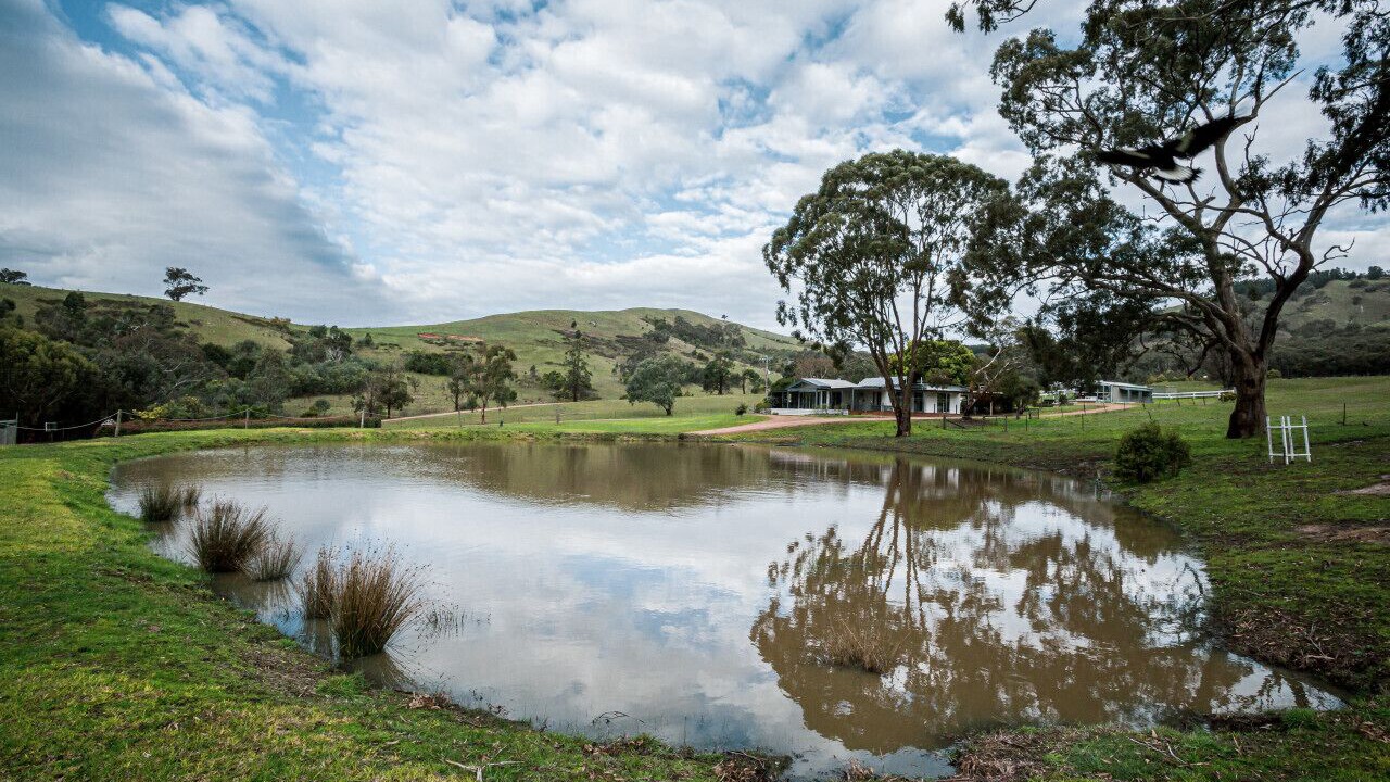 Photo of Outdoor in Strath Creek