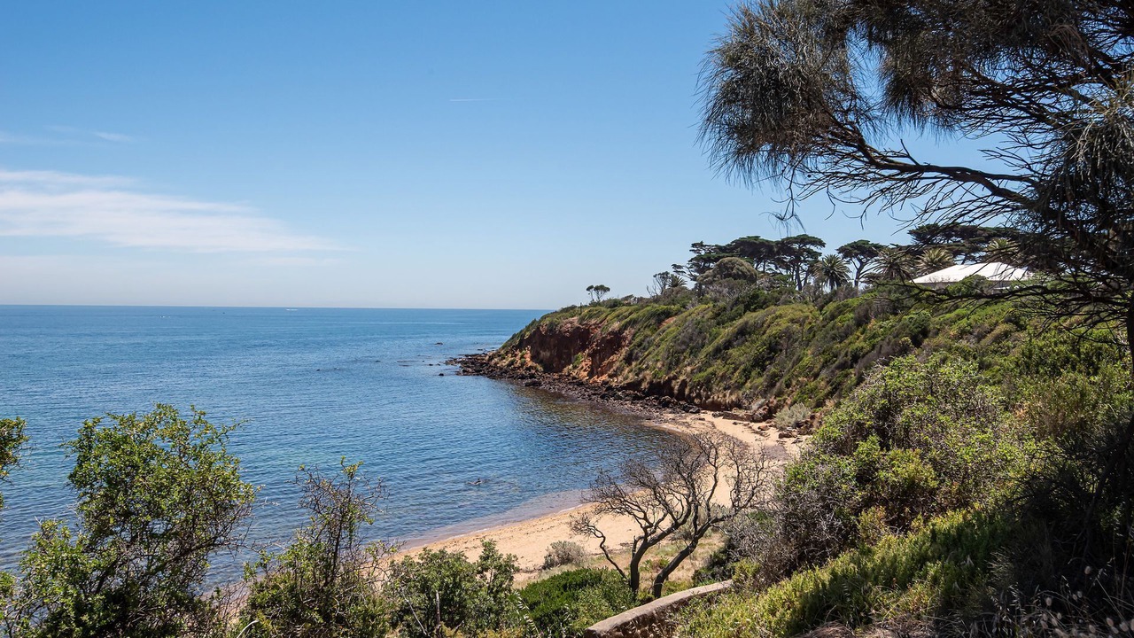Photo of Others in Mornington