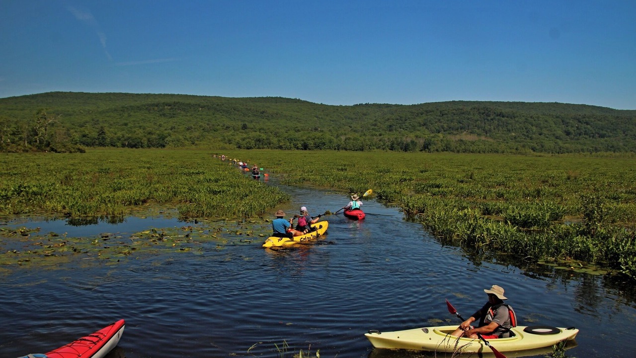 Photo of Others in Wurtsboro