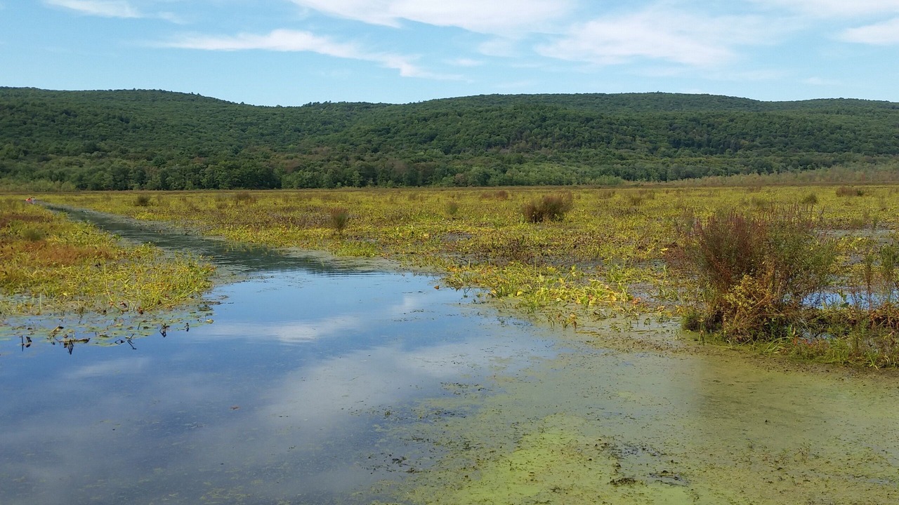 Photo of Outdoor in Wurtsboro