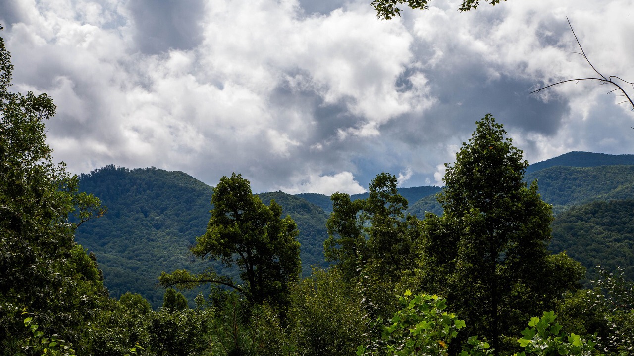 Photo of Others in Sylva