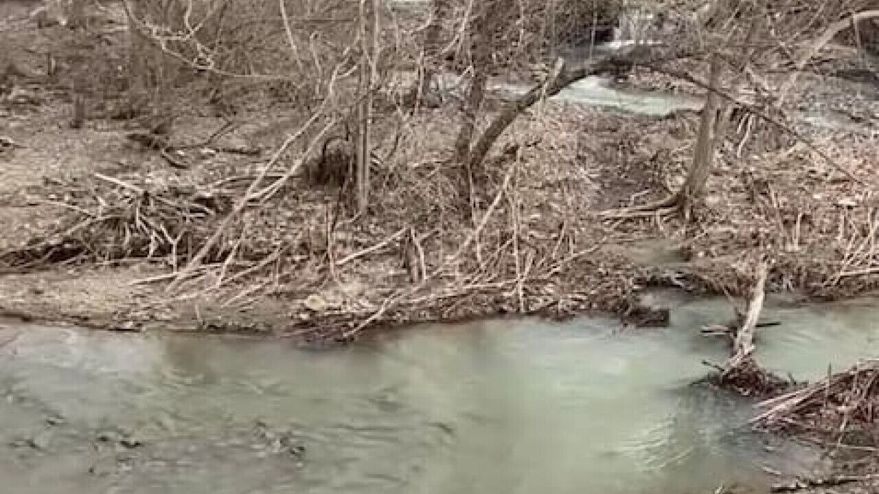Photo of Others in Canandaigua
