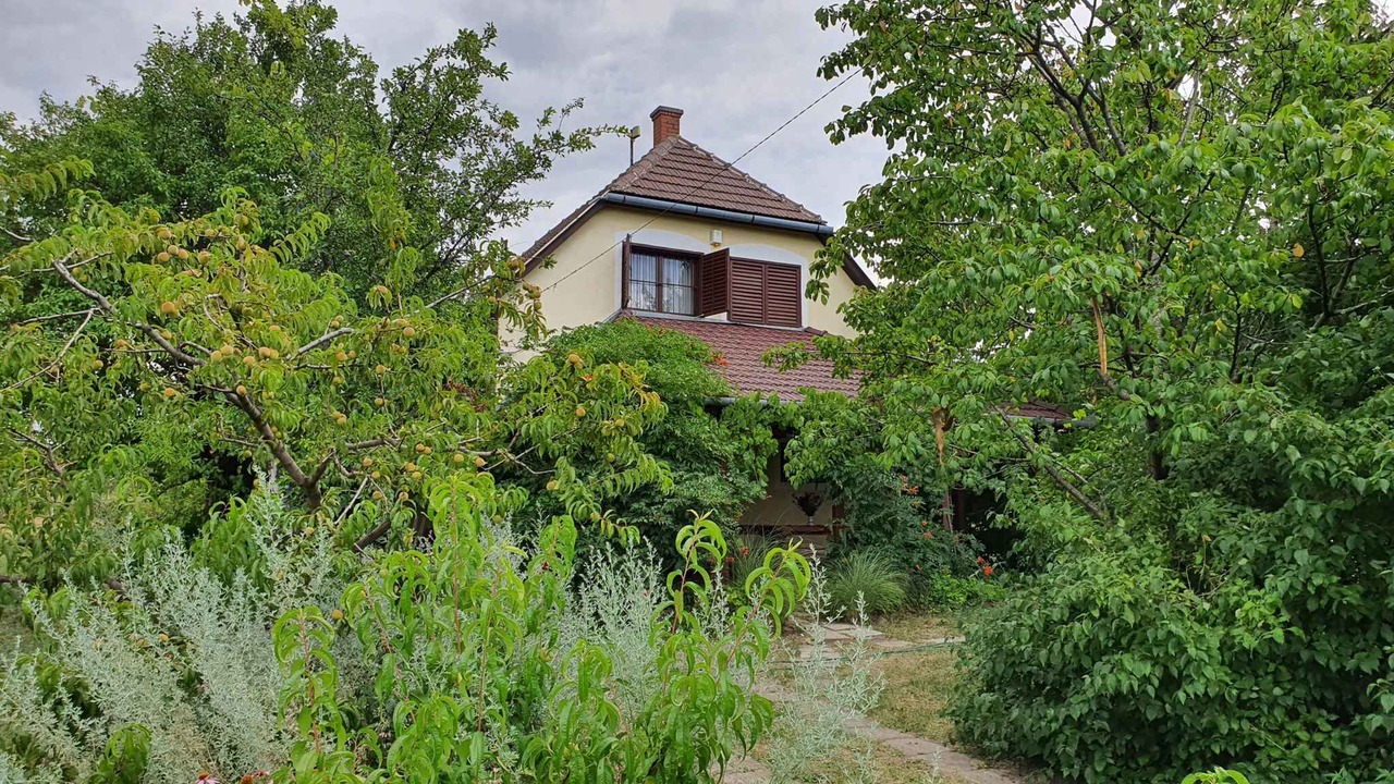 Photo of Outdoor in Balatonkiliti