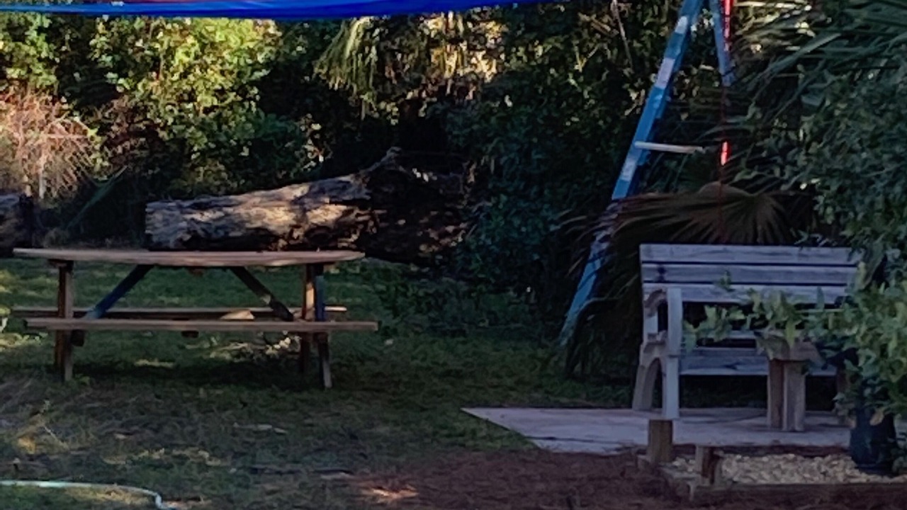 Photo of Outdoor in South Pensacola