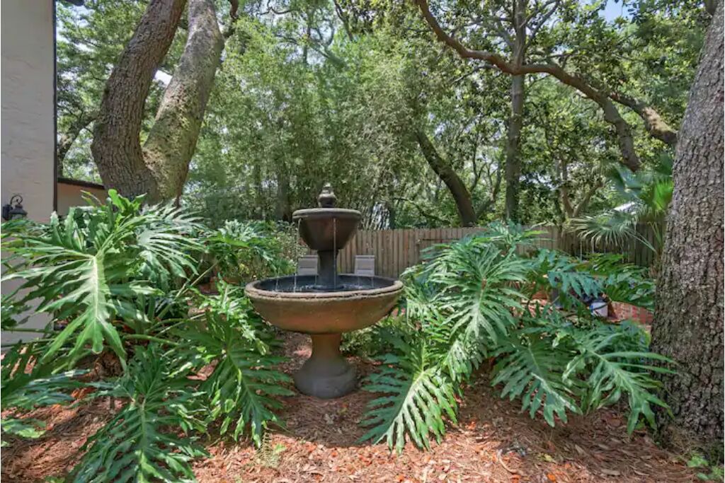 Photo of Outdoor in East Pensacola Heights